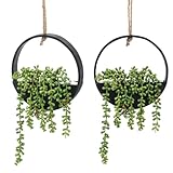 CEWOR 2pcs Artificial Hanging...