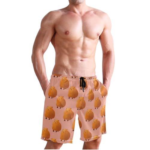 Men's Swim Trunks Anime Capybara Print, Quick Dry Beach Board Shorts with Lining-S3