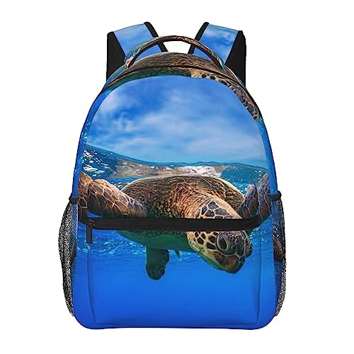 Sac de voyage ordinateur portable BAFAFA en toile avec compartiment sécurisé noir