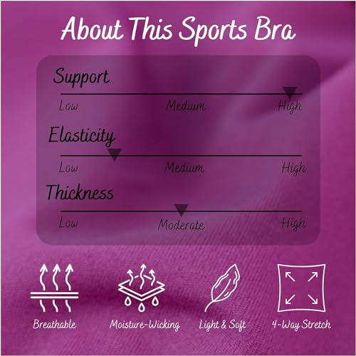 Image of GLAMORAS Nylon Spandex Active Sports Bra for Women | Full Coverage, Non-Wired, Seamless, Stretchable & Support Activewear for Women | Criss Cross Back Crop Tops for Gym, Yoga & Workout - Size: S - 2XL