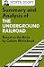 Summary and Analysis of The Underground Railroad: Based on the Book by Colson Whitehead (Smart Summaries)
