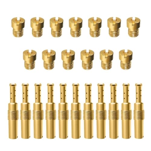 Strongthium Kit de Gicleurs de Carburateur 24 Pcs pour Keihin PWK PE CVK GY6/99101-393 N424-21 compatible avec Kawasaki KX85 YCF Apollo, Gicleur Principal et Ralenti