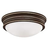 Zoom IMG-1 westinghouse lighting iluminazione interiore bronzo Zoom IMG-1 westinghouse lighting iluminazione interiore bronzo