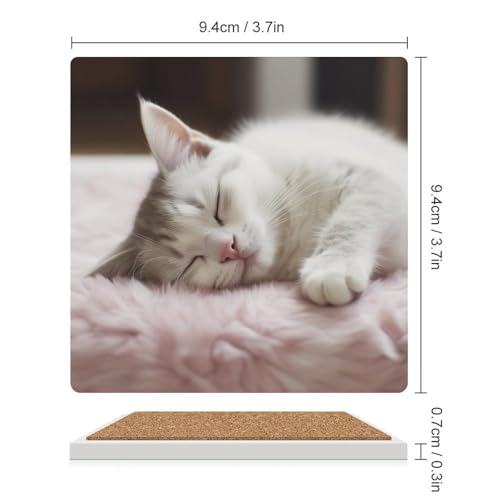 Dessous de verre en céramique absorbant chat anti-rayure table