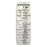 TYLDUM Auto-Mesusa, jüdische Auto-Mesusa für das Auto mit Reisenden, Gebetsrolle, graviert, koscher, Judaica-Geschenke, jüdische Geschenke, Yisrael-Geschenke, hergestellt in Kanada, Plexiglas von