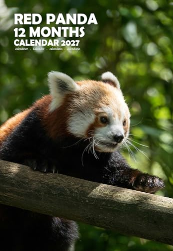Calendario 2027 Red Panda A3 ideal para decorar tu oficina