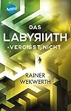  Das Labyrinth (4). Das Labyrinth vergisst nicht: Actiongeladene Mysteryserie ab 12 Jahren (Labyrinth-Trilogie)