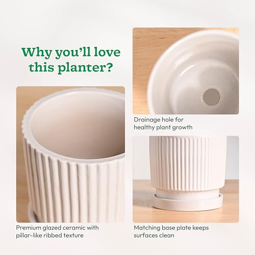 Image of UGAOO Roma Ceramic Pot |Indoor Ceramic Planter for Home, Office, Garden, Balcony - White (5 Inch)