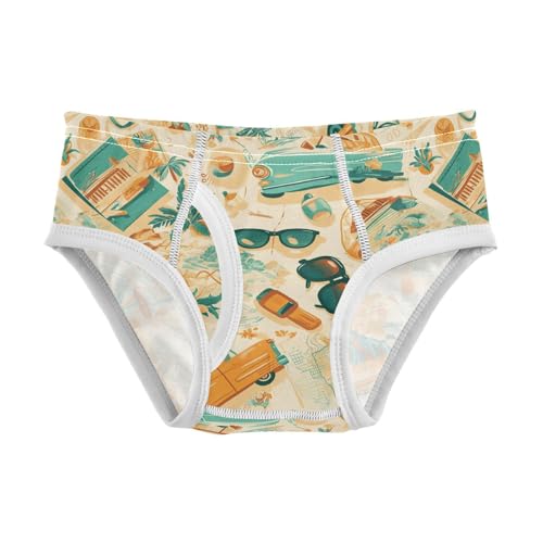 visesunny Boys Potty Training Underwear Western Cowboy Roadster Sunglass Breathe Cotton Briefs Size 2T-8Y for Toddler