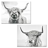 2 Pieces Highland Cow Canvas Posters Prints Black and White Longhorn Steer Animal Portrait Wall Art