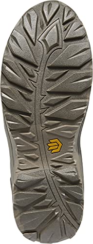 LaCrosse Unisex-Adult Casual Alpha Agility 17" Brown 1200G4