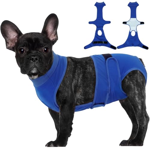 Image of BRKURLEG Female Dog Diapers with Suspender, Washable & Reusable, Blue M