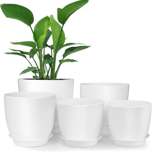 Macetas, Lawn & Patio Ukipos Set de 5 Macetas de plástico de 7/6/5.5/4.5/3.5 Pulgadas, Macetas de Interior con Drenaje, Macetas Modernas Decorativas para Plantas, Flores, Cactus,...