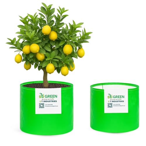 Image of HDPE Grow Bags for Plants 18X15 Inch (Pack of 2) | 260 GSM Heavy Duty UV-Protected Round Green Colour Plant Bags for Terrace and Vegetable Gardening | Strong & Reusable|