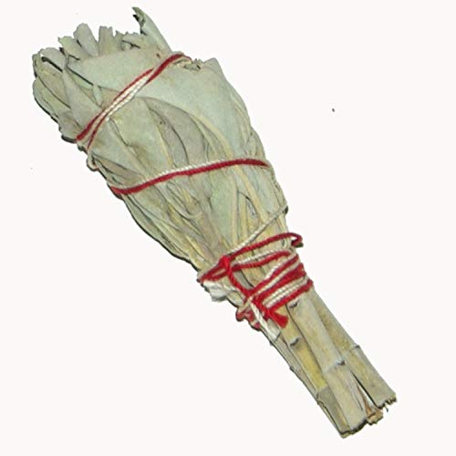 Native Spirit: Weißer Salbei Räucherbündel 2x Baby-Version, ca 8 cm, 20-25 g (3-4 Inch Baby-Smudge-Stick White Sage)
