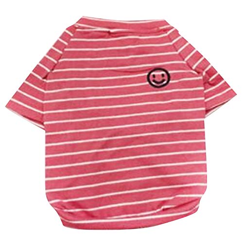 m.tivance   yAbN {[_[ TVc yybgpz NR[f/ybgyA{[_[yCzybgp (sN, L)