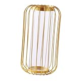 CLISPEED Jarrón Hidropónico de Hierro Dorado Estilo Nórdico para Plantas y Flores Decoración de Escritorio y Hogar Contenedor Creativo y Elegante para Arreglos y Oficina
