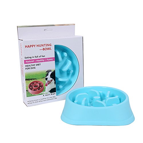 The 30 Best Dog Slow Feeders of 2022 [Verified] Cherry Picks