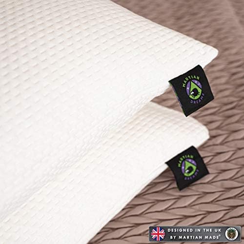 Waterproof Pillow Protectors 2 Pack with Zip Closure - Made With An Ultra Soft Bamboo Anti-Allergy Fabric, 100% Hypoallergenic & Anti-Bacterial