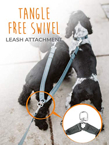 image for Mighty Paw Double Dog Leash, Two Dog Adjustable Length Dog Lead, Premi