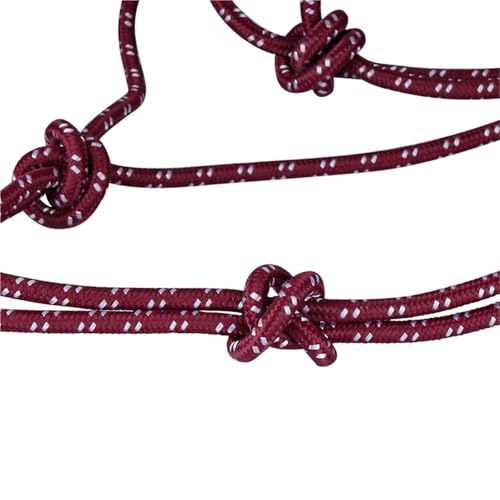 Licol de cheval violet et corde de guidage pour le paddock et l'écurie - 4