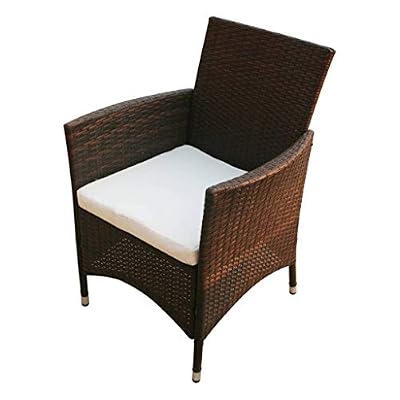 DXKDUSOKJ 2 Piece Patio Chairs Set with Poly Rattan Brown, Steel Frame and Aluminum Feet, W PE Rattan with Removable Cushions for Outdoor Garden
