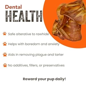 Gaines Pet Pig Ears for Dogs Thick Cut All Natural Whole Ears No Additives Or Hormones Safe Rawhide Alternative Dental Health Easy to Digest Great for Small to Large Dogs 40 Count