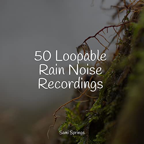 Play 50 Loopable Rain Noise Recordings by White Noise Babies, Sounds Of
