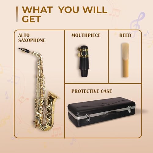 Image of ARCTIC AR SRB-PRO Model Alto Saxophone with Case, Featuring a World-Class Finish And a Professional Setup, Designed for Musicians, Band Performers. Includes Mouthpiece, Reed, and Protective Case.