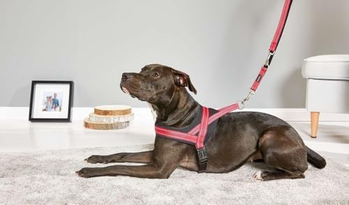 Hundegeschirr Soft & Safe reflektierend, Gr.0: 35-45cm cayenne/schwarz