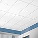 CORTEGA 769 Acoustic Ceiling Tiles - 2x4, 12 White Tiles for Suspended Ceiling Grid