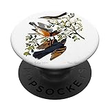 PopGrip con top intercambiable; cambia tu PopTop por otro diseño o remuévelo completamente para las capacidades de carga inalámbrica. (No compatible con el cargador inalámbrico Apple MagSafe o la cartera MagSafe).