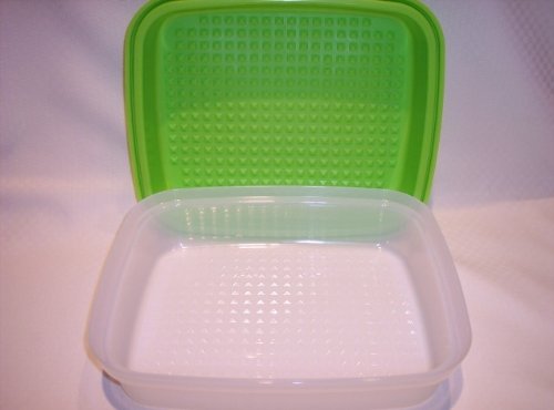 Tupperware Season Serve Jr Marinader Container Green