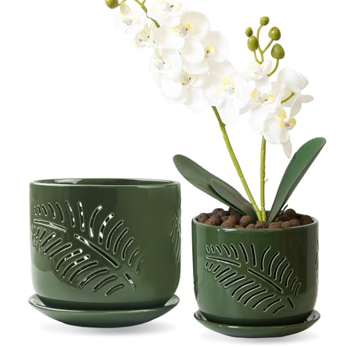 LITUDISO 5+6 inch Orchid Pots with Holes, Orchid Pots for Repotting, Healthy Air Circulation Plant Pots for Plant Lovers, Planters for Indoor/Outdoor Plants, Set of 2