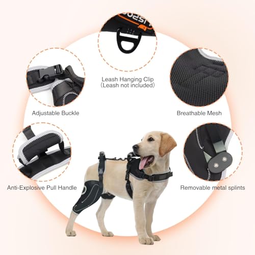 Image of Dog ACL Knee Brace for Torn ACL & Luxating Patella-Adjustable Leg Support with Sufficient Wrapping and Support, Non-Slip Joint Brace for Dogs, Pain Relief & Better Recovery-Right Leg-XL