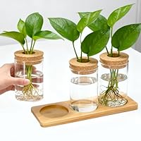 VGECEE 3Stk Pflanzenterrarium Hydrokultur Vermehrungsstation Pflanzen Anzuchtstation Ableger Pflanzen Glas Stecklinge Hydroponische Vase Plant Propagation Station für Anbau von Hydrokulturpflanzen