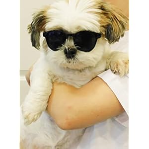 G039 small breed up to 15lbs dog cat pet puppy panto round sunglasses black   cucciolini doodles