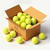 30/40 Pack Tennis Balls, High Bounce for Practice and Dog Play | 2.5 in standard size; rubber core, felt cover; beginner training; all courts; ball machines; indoor/outdoor; mesh carry bag