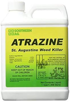 best lawn mower for st augustine grass