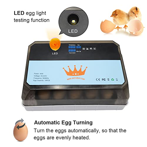 Küken-Ei-Inkubator, Enten-Ei-Inkubator für 15 Eier, vollautomatischer Hatcher, Geflügel-Brutmaschine, Egg Hatcher… – Bild 3
