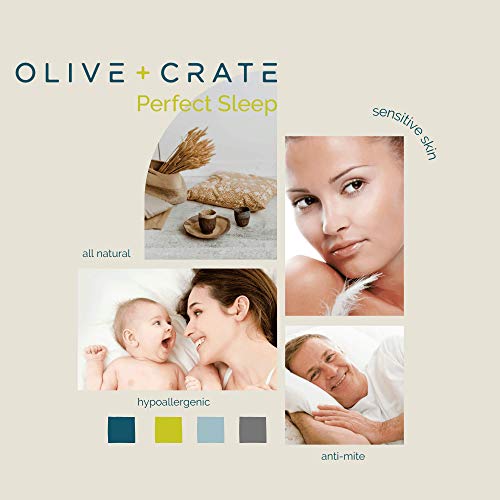 Olive + Crate Cooling Eucalyptus Comforter Tencel Fiber Down Alternative Queen Size | Cool Sleep Will Be A Breeze For Hot Sleepers | Temperature Regulating Cool To The Touch Like Our Sheet Sets #TOP7