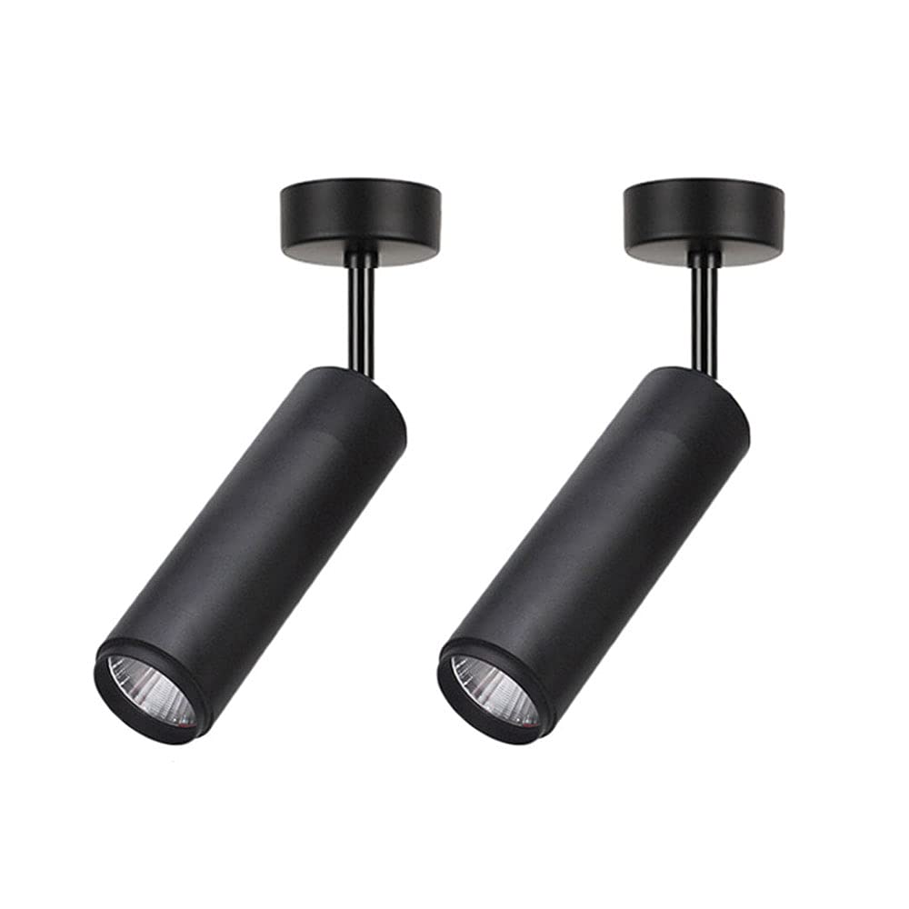 Baska LED Spotlights 2 Pack Living Room Adjustable Ceiling Light, Surface Mounted Accent Spot Lighting Indoor, Adjustable Directional Spot Lights For Living Room Bedroom Gallery