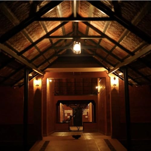 Episode 4: Dr Ramkumar: Part 2 of 3 - Ayurveda and Vaidyagrama:The vision and the journey