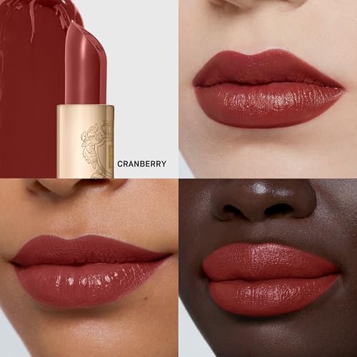 Image of Bobbi Brown Luxe Lipstick | Bold, Skincare-Infused Lipstick for Rich Satin Finish | Chamomile Oil & Jasmine Flower Wax