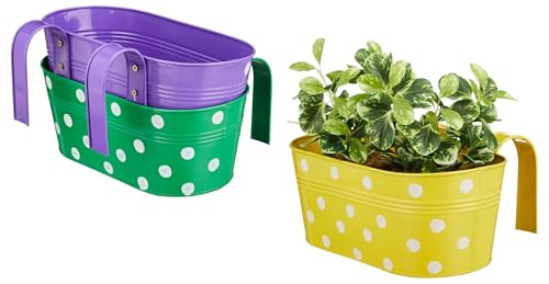 Image of Amazon Brand - Solimo Dotted Oval Railing Planter for Balcony with Detachable Handle (Multicolor, Set of 3) | Hanging Planter | Anti Rust Plant Container Gamla for Home Decor | Indoor & Outdoor
