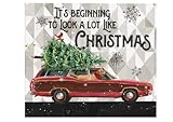 targa natalizia con scritta its beginning to look a lot like christmas christmas tree ornamet winter sign for plaque poster cafe wall art gift funny vintage metal sign poster 20,3 x 30,5 cm