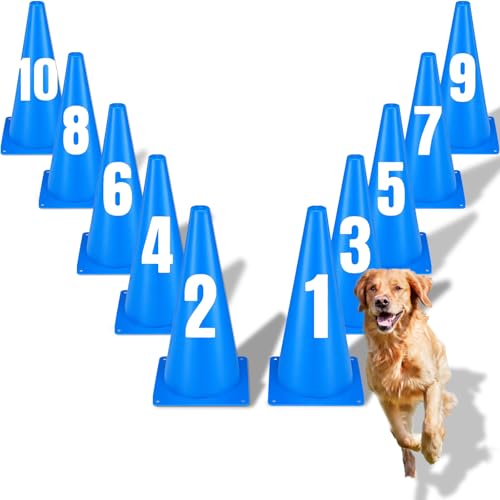 12 Inch Dog Agility Hurdle Cone Set with 10 Blue Training Cones 2 Number Stickers Distance Adjustable Dog Agility Course Backyard Equipment for Pet Obstacle Course for Obedience Rehabilitation Starter
