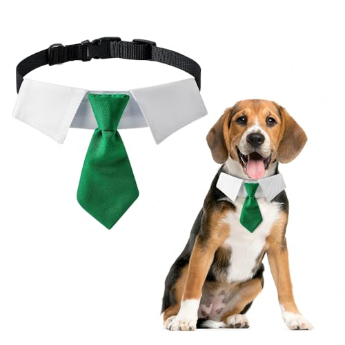 DOGTACT Adjustable Boy Dog Collar Sturdy Pet Tie for Suitable for Weddings Photo Shoots Family Photos and Other Special Occasions Fits Cats and Dogs