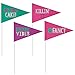 Amscan Young and Fab Pennants, 14