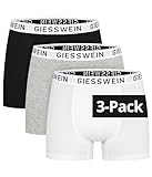 Giesswein